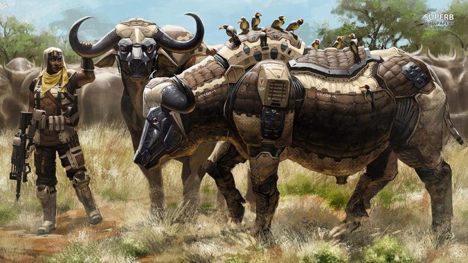 目前中国男性有什么困境？