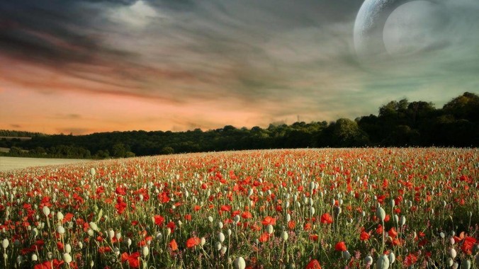 ant-design-vue 社区为什么不维护了？